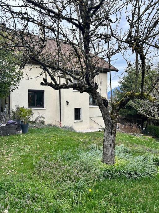Appartement 3 Chambres A Annecy Dans Maison Pour 2 A 8 Personnes Eksteriør billede